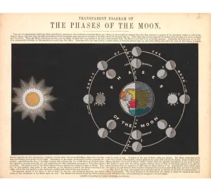 Phases of the Moon A3 Print