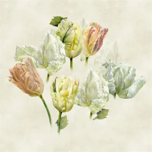 Spring Tulip Buttermilk Shower Curtain by Designers Guild